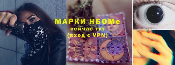apvp Инсар